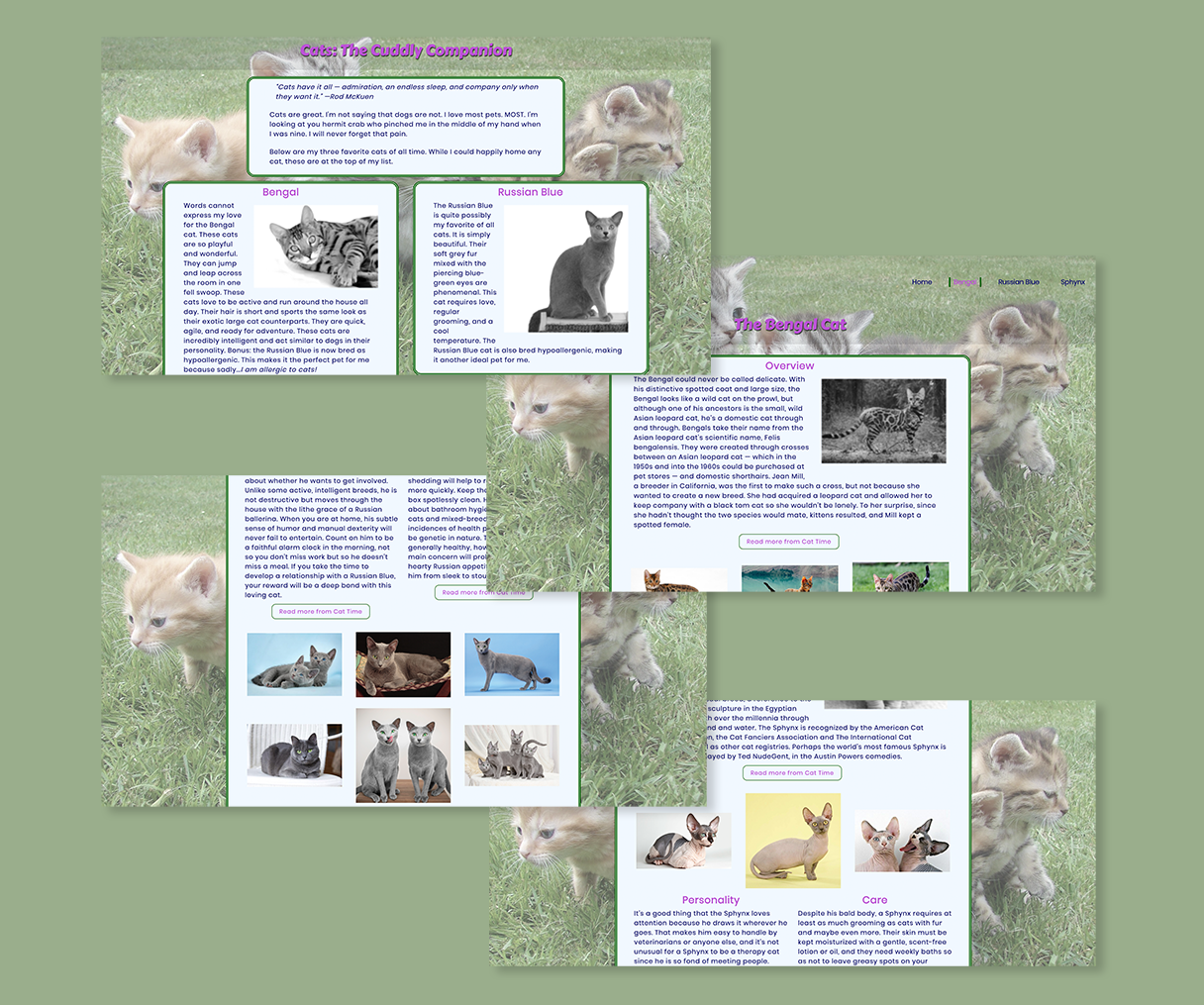 Cat Website Snapshots