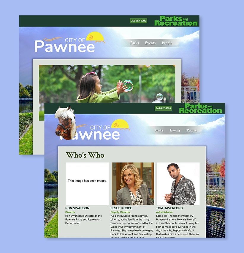 Pawnee Website Snapshots